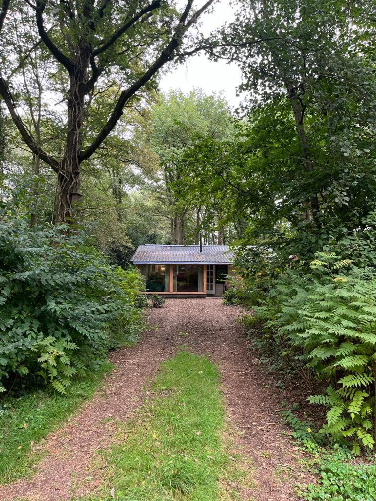 Huisje In Het Bos ザイドラーレン エクステリア 写真